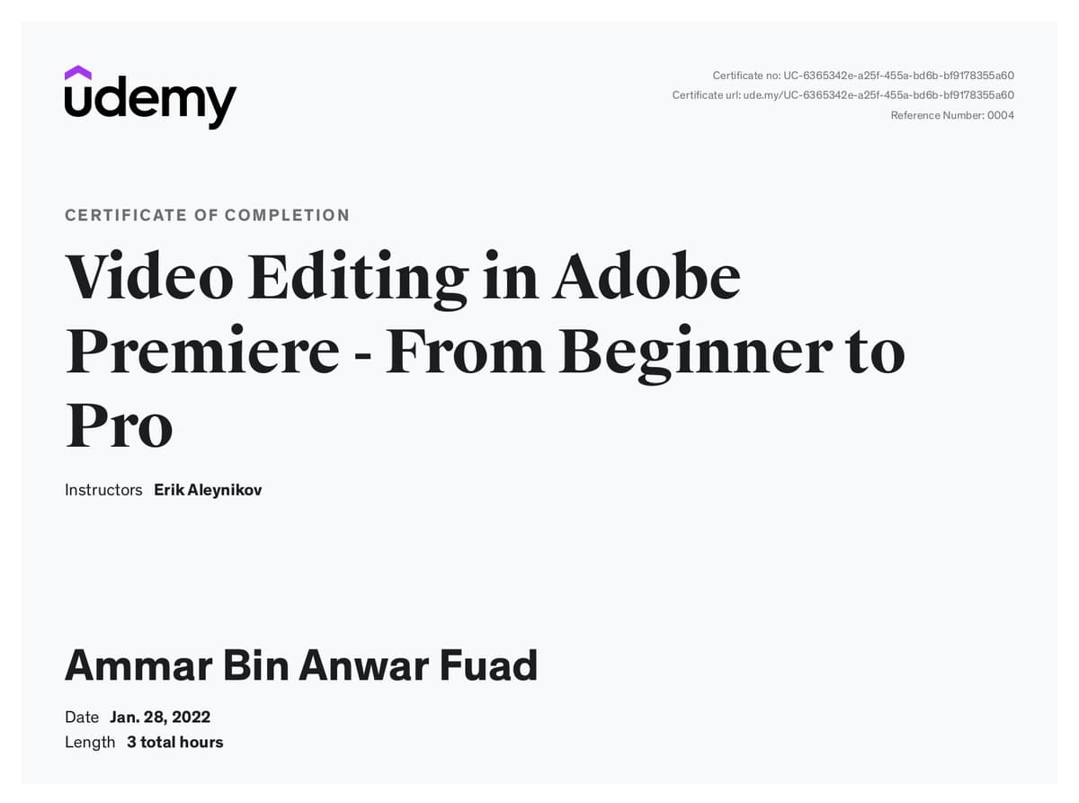 Video Editing in Adobe Premiere - From Beginner to Pro